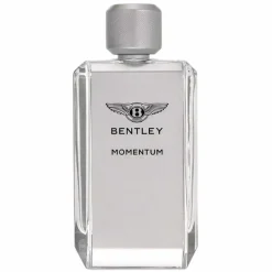 Bentley Momentum Edt 100ml