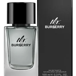 Burberry Mr Burberry Edt 100ml