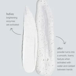 Dermalogica Daily Microfoliant 74g