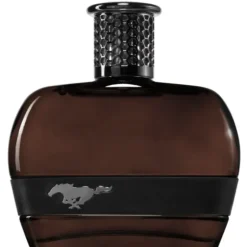 Ford Mustang Black For Men Edt 100ml