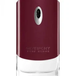 Givenchy Pour Homme Edt 100ml