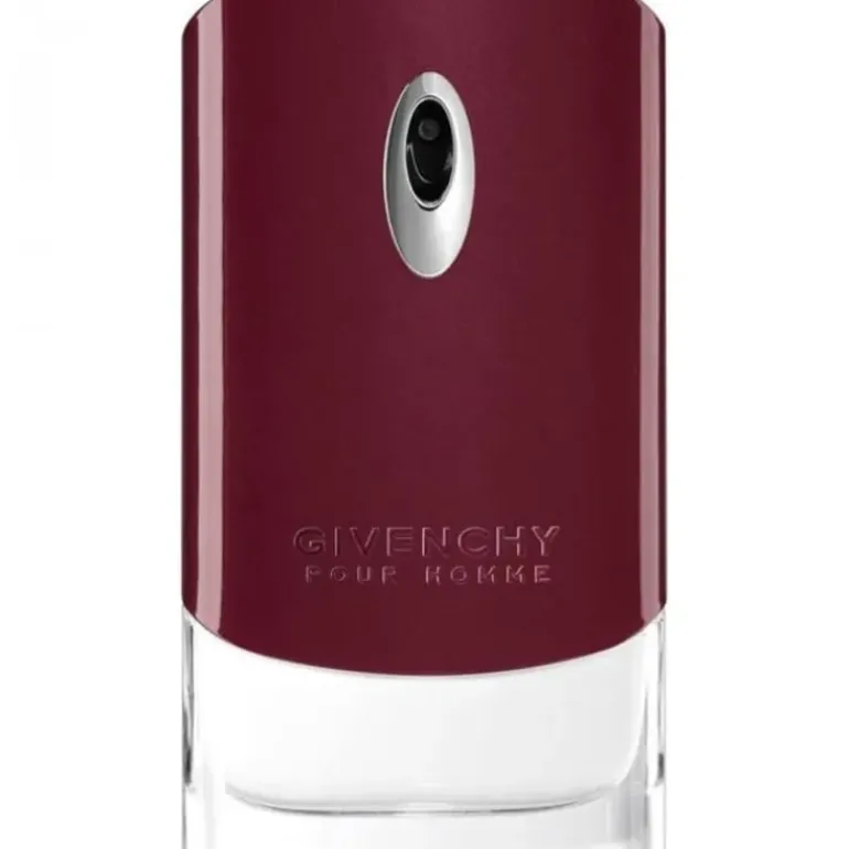 Givenchy Pour Homme Edt 100ml