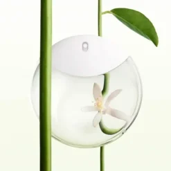 Issey Miyake A Drop d’Issey Edp 50ml