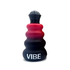Samba Vibe Man Edt 100ml