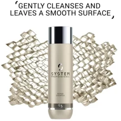 System Professional Repair Perfect Hair 150ml