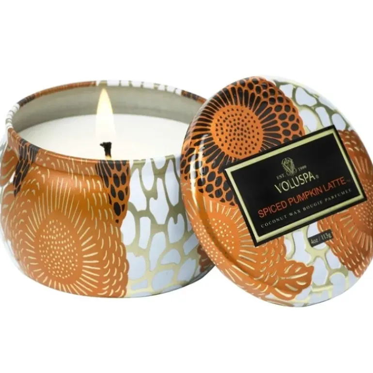 Voluspa Mini Decorative Tin Candle Temple Moss 113g