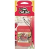 Yankee Candle Car Jar Air Freshener Red Raspberry